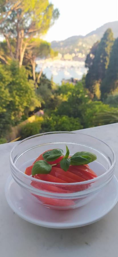 B&B Oasi Regina Pacis Санта-Маргерита-Лигуре Экстерьер фото
